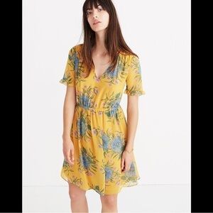 Madewell Sweetgrass Ruffle Sleeve Dress in Painted Blooms